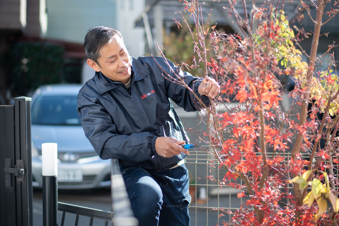 �A�؂̙���